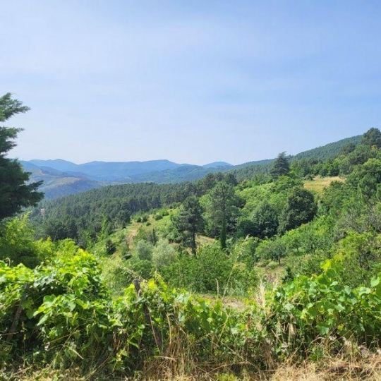  PROVANS IMMOBILIER : Maison / Villa | LES VANS (07140) | 160 m2 | 265 000 € 