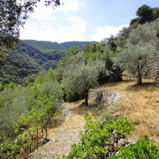  PROVANS IMMOBILIER : Maison / Villa | LES VANS (07140) | 110 m2 | 360 000 € 