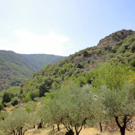  PROVANS IMMOBILIER : Maison / Villa | LES VANS (07140) | 110 m2 | 360 000 € 