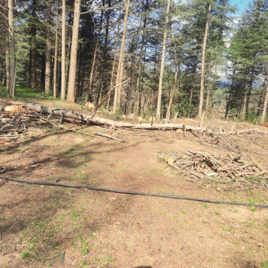 PROVANS IMMOBILIER : Terrain | SAINT-AMBROIX (30500) | 0 m2 | 66 000 € 