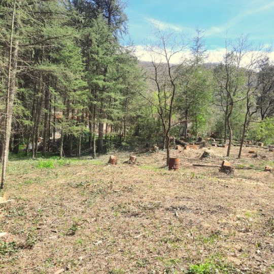  PROVANS IMMOBILIER : Terrain | SAINT-AMBROIX (30500) | 0 m2 | 66 000 € 