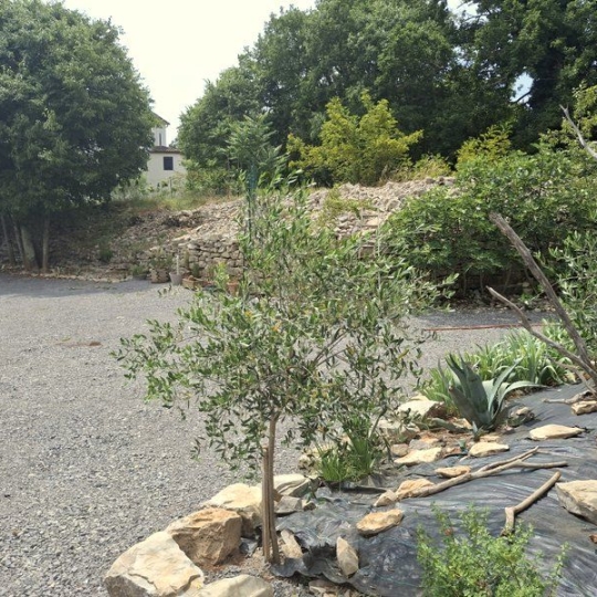  PROVANS IMMOBILIER : Maison / Villa | LES VANS (07140) | 130 m2 | 365 000 € 