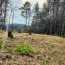  PROVANS IMMOBILIER : Terrain | SAINT-AMBROIX (30500) | 0 m2 | 66 000 € 