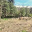 PROVANS IMMOBILIER : Terrain | SAINT-AMBROIX (30500) | 0 m2 | 66 000 € 