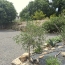  PROVANS IMMOBILIER : Maison / Villa | LES VANS (07140) | 130 m2 | 365 000 € 