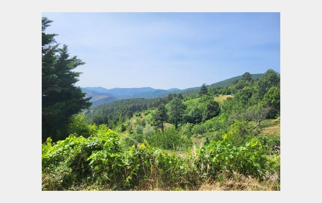 PROVANS IMMOBILIER : Maison / Villa | LES VANS (07140) | 160 m2 | 265 000 € 