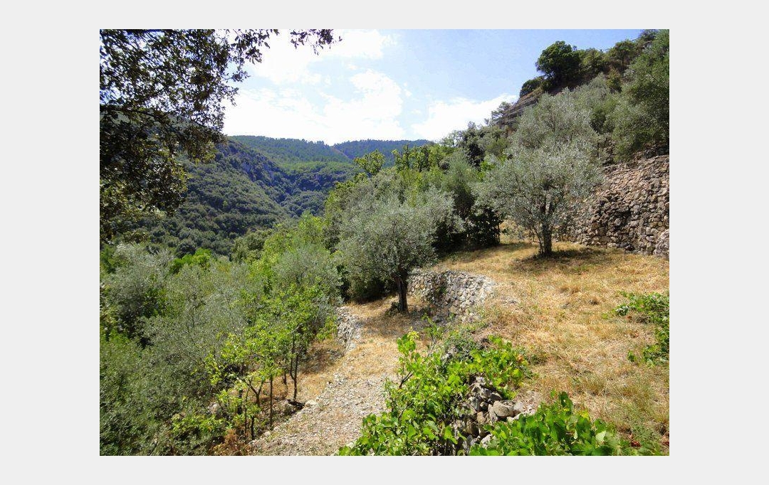 PROVANS IMMOBILIER : Maison / Villa | LES VANS (07140) | 110 m2 | 360 000 € 