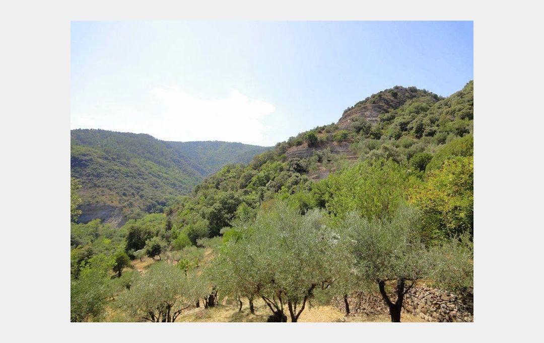 PROVANS IMMOBILIER : Maison / Villa | LES VANS (07140) | 110 m2 | 360 000 € 