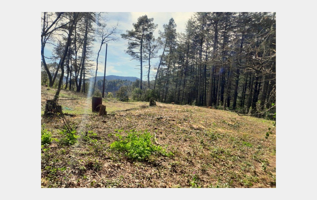 PROVANS IMMOBILIER : Terrain | SAINT-AMBROIX (30500) | 0 m2 | 66 000 € 