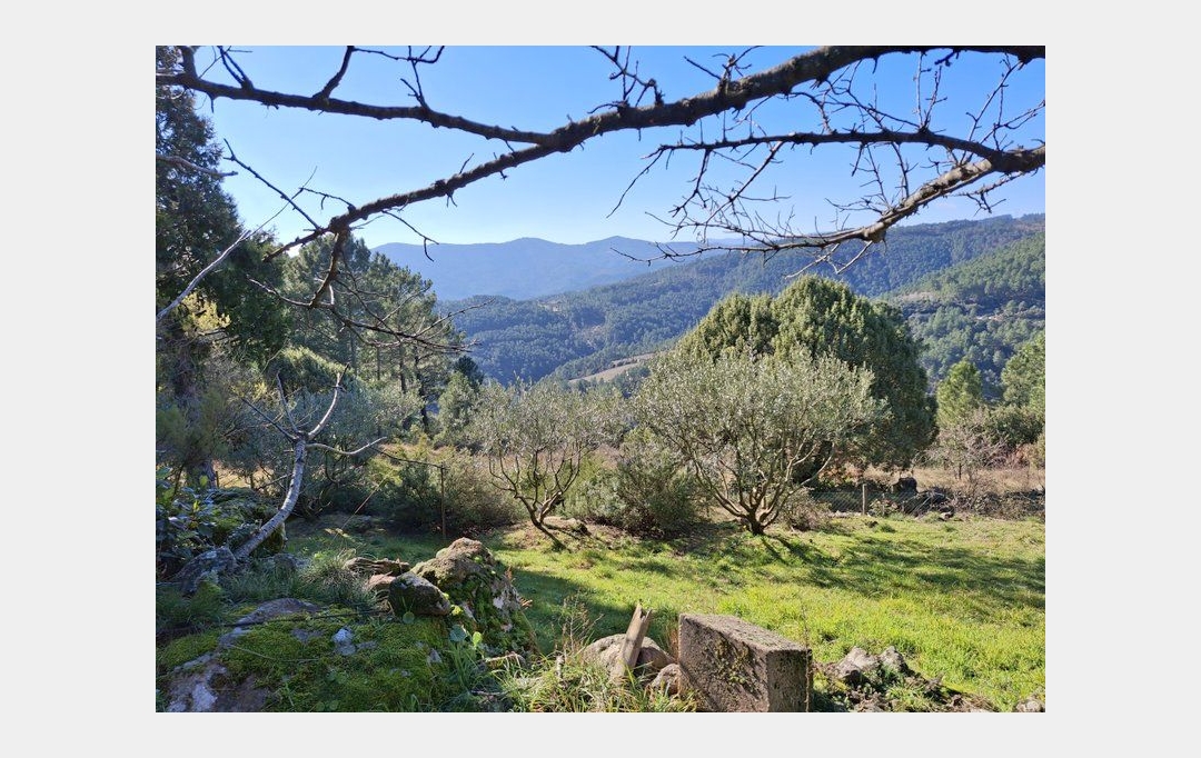 PROVANS IMMOBILIER : Maison / Villa | LES VANS (07140) | 230 m2 | 233 000 € 