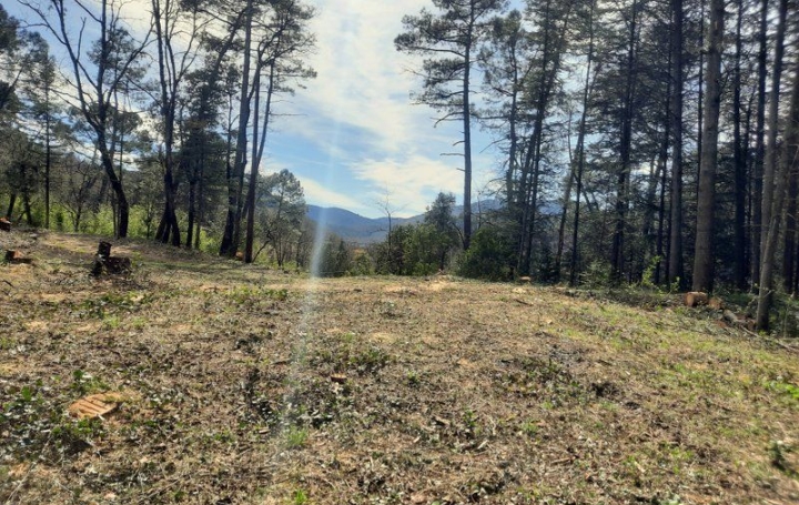Terrain SAINT-AMBROIX 66 000 € Terrain SAINT-AMBROIX 66 000 €